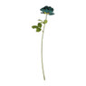 Roos blauw - 66 cm