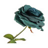 Roos blauw - 66 cm