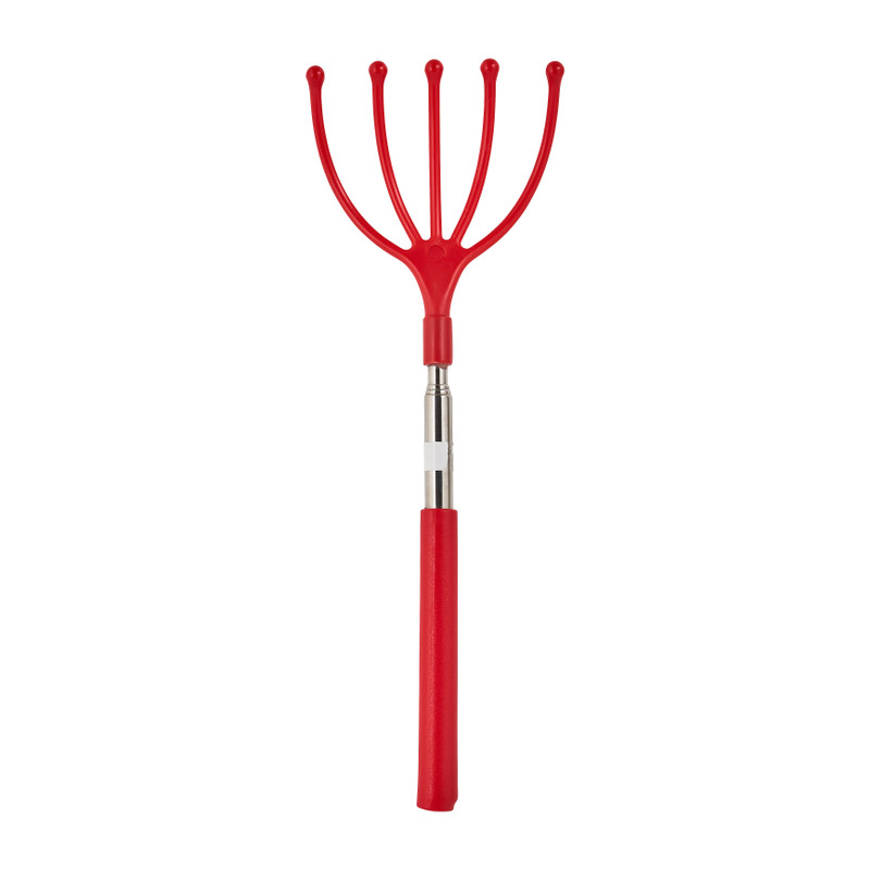 Ruggenkrabber - diverse soorten - 26 cm