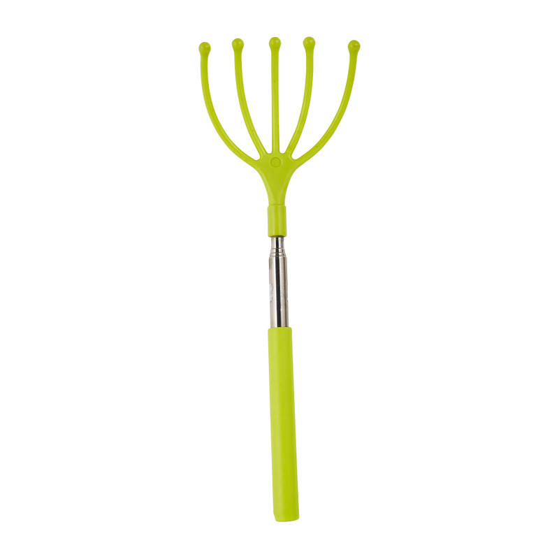 Ruggenkrabber - diverse soorten - 26 cm