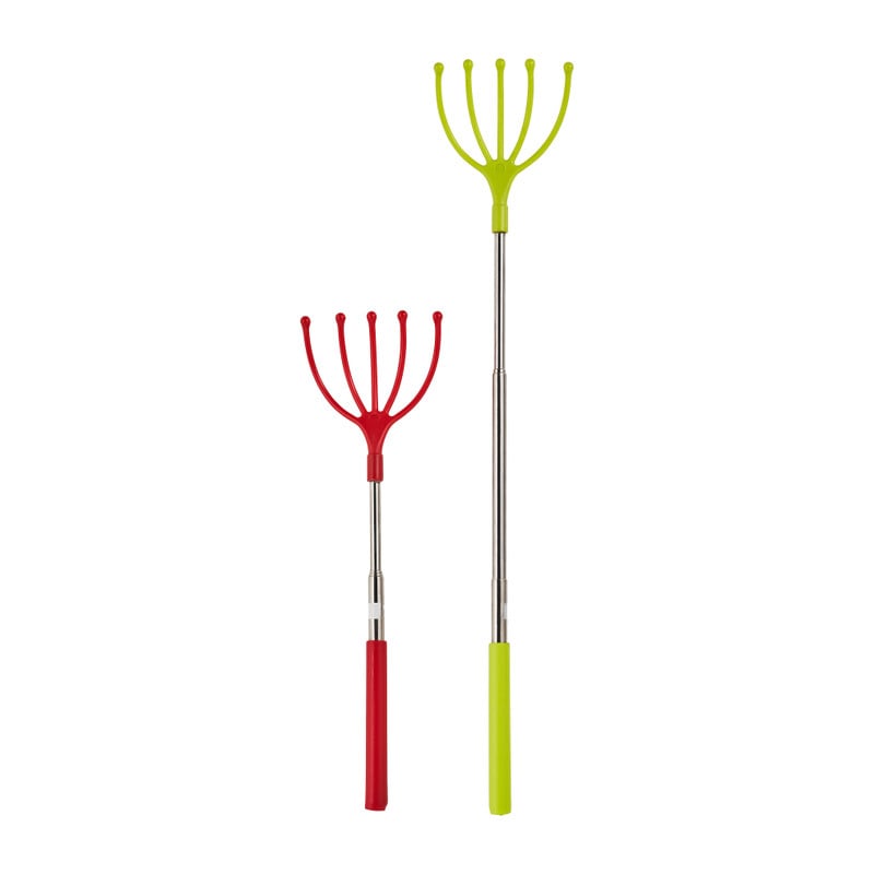 Ruggenkrabber - diverse soorten - 26 cm