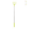 Ruggenkrabber - diverse soorten - 26 cm