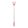 Ruggenkrabber - diverse soorten - 26 cm