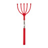 Ruggenkrabber - diverse soorten - 26 cm