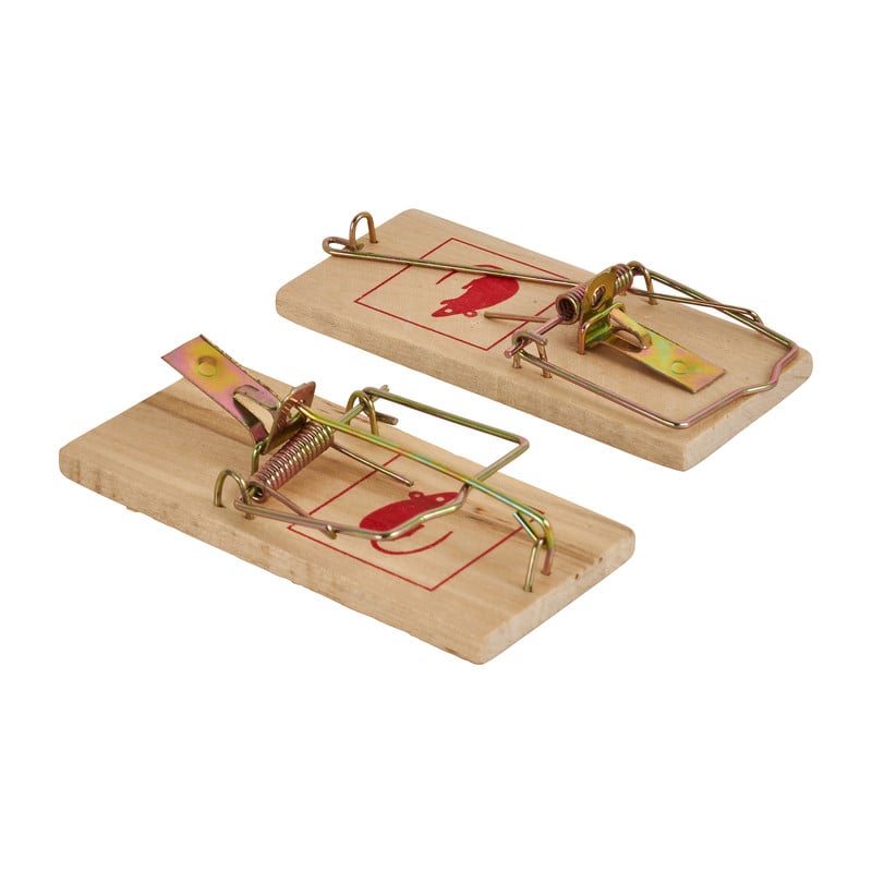 Muizenval - set van 2