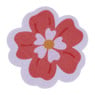 Schuurspons bloem - diverse varianten - 10x7x3 cm