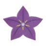 Schuurspons bloem - diverse varianten - 10x7x3 cm