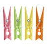Wasknijpers - multikleur - set van 12