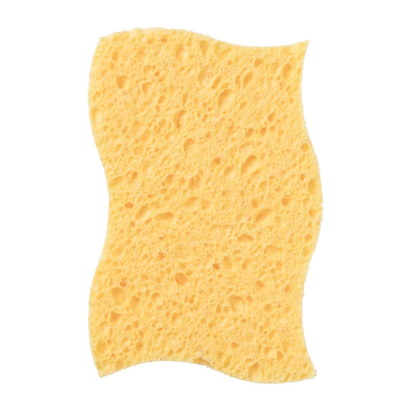 Huishoudspons