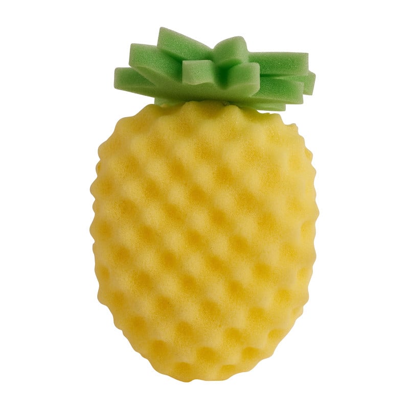 Badspons fruit - diverse varianten