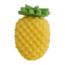 Badspons fruit - diverse varianten