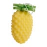 Badspons fruit - diverse varianten