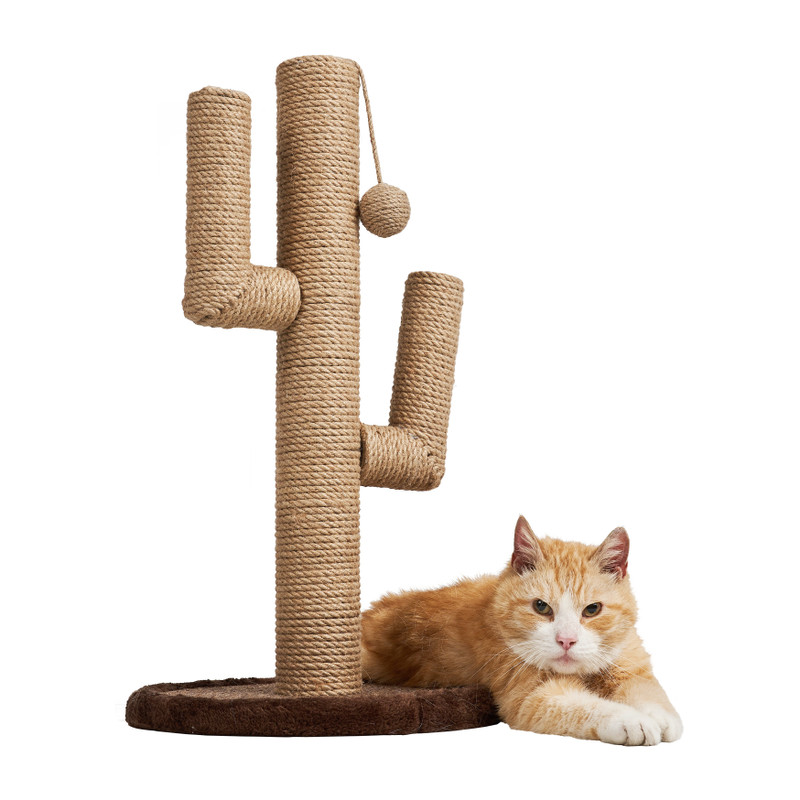 Krabpaal cactus - 34x34x62 cm