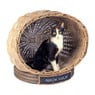 Kattenhuis rond miauw