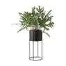 Plantenbak op voet -metaal - ⌀15x35 cm