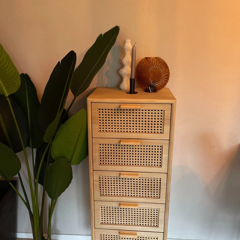 Webbing Java kast met 5 laden - 107x40x31 cm
