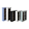 Vitrinekast 2 deuren - wit - 60x50x15 cm