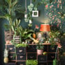 Apothekerskast - 15 laden - naturel/zwart
