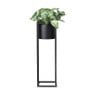 Bloempot in standaard - zwart - 15x15x50 cm