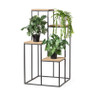 Plantentafel Isa - 4 etages - 40x40x80 cm
