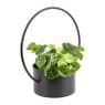 Bloempot met ronde beugel - ⌀28x36 cm