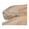Roots tray - 43x45 cm
