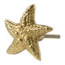 Deurknop zeester - goud - 5.5x5.5 cm