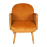 Fauteuil Batavia met webbing - geel - 61x72x76 cm 