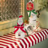 Mug giftset - met hot chocolate mix 