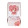 Theeglas - giftset