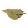 Laurierblad laurierblad - 30 laurierbladen