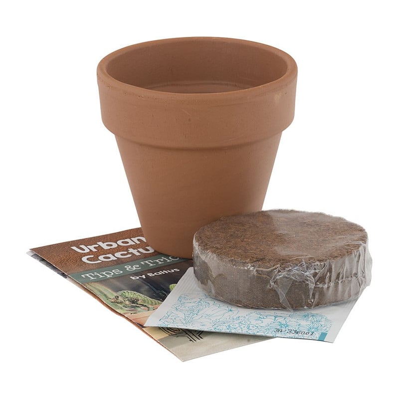 Kweek je eigen cactus - 8.5x8.5 cm - set van 2 