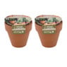 Kweek je eigen cactus - 8.5x8.5 cm - set van 2 