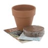 Kweek je eigen cactus - 8.5x8.5 cm - set van 2 