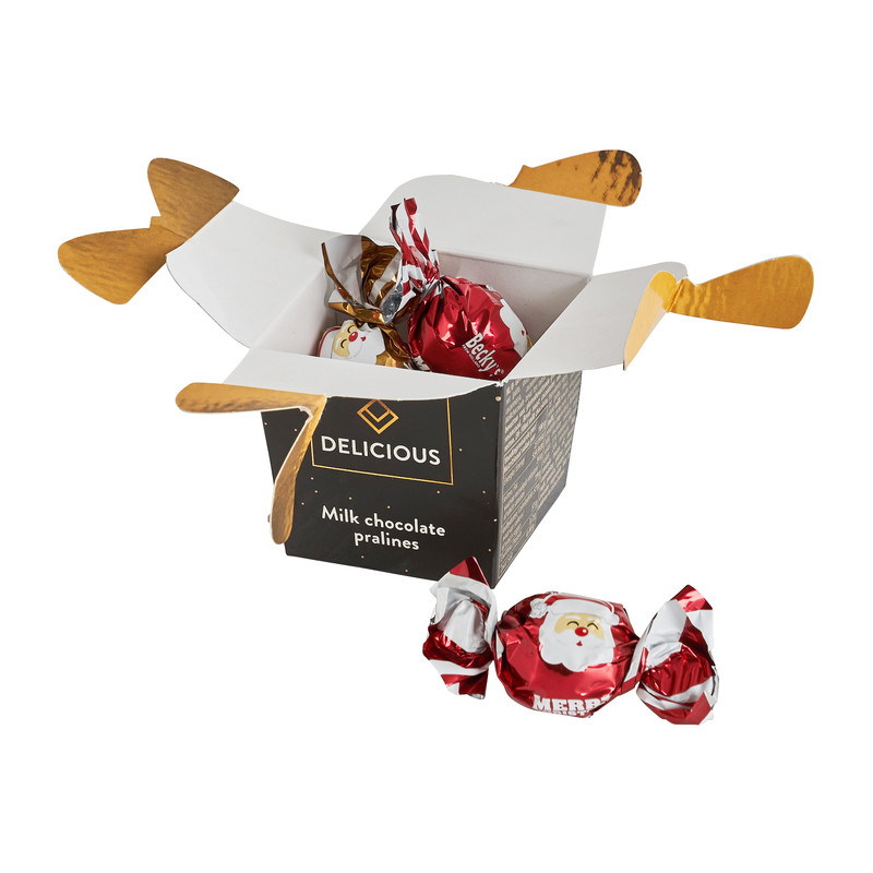 Santalicious chocolats giftbox - 40 g