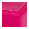 Iris clearbox - 50 liter - roze - set van 2