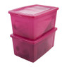 Iris clearbox - 50 liter - roze - set van 2