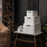 Curver opbergmand met deksel groot - wit - 33x44.5x24.8 cm