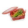 Rotho magnetron-steamer clever - 2 liter - rood