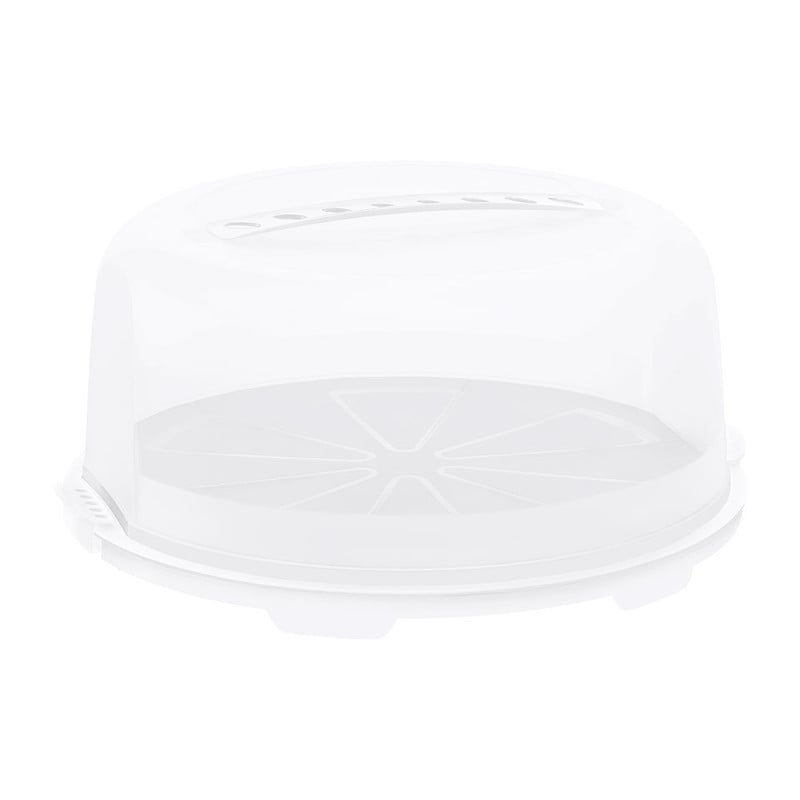 Rotho cakedome fresh - 33x14.5 cm
