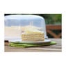 Rotho cakedome fresh - 33x14.5 cm