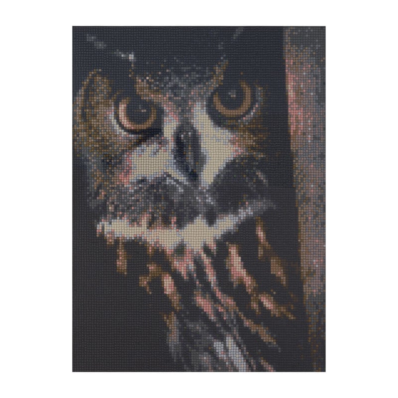 Diamond painting - uil - 40x50 cm
