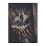 Diamond painting - uil - 40x50 cm
