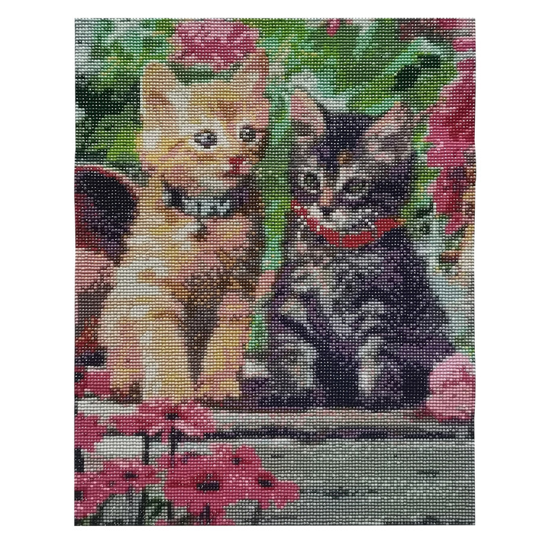Diamond painting - katten - 40x50 cm