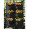 Nature plantentas - 6 zakken - zwart