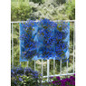 Nature plantentas - 12 zakken - blauw