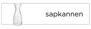 Sapkannen