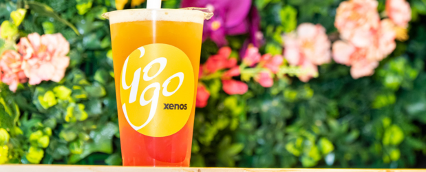 bubble tea gogodrinks