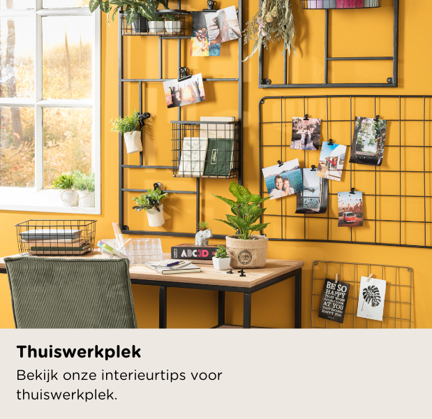 thuiswerkplek