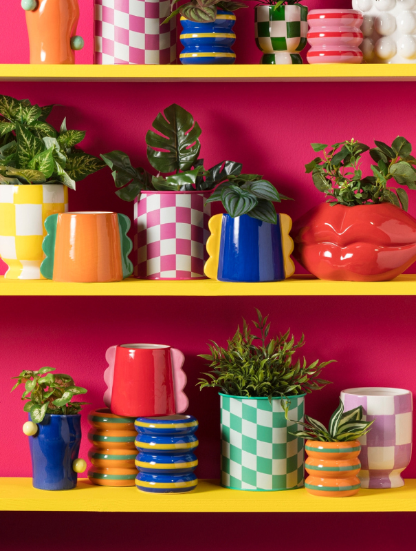 Potten en planten